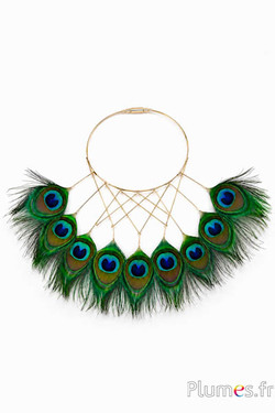 Pfau blau Goldkiel - 15-25 cm - smaragdgrün